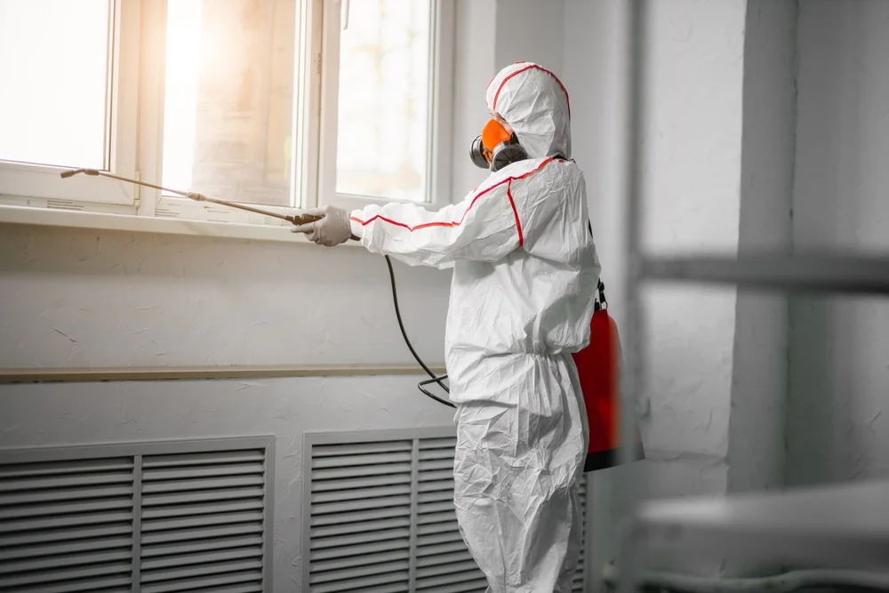 Professional mold remediation services in Nokomis, FL